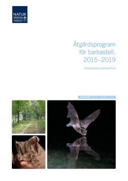 Åtgärdsprogram för barbastell, 2015–2019