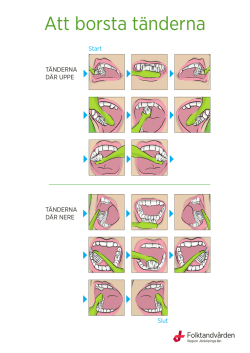 Att borsta tänderna, A4-format(pdf