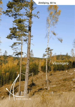 Vässingarp