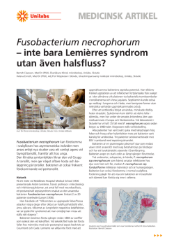 Fusobacterium necrophorum – inte bara Lemièrres