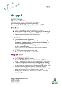 Grupp 1 - Vallentuna kommun