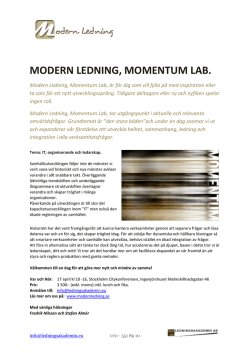 Momentum Lab Stockholm April 2015