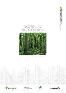 Skötsel av ädellövskog, 60 sidor, (pdf 2 Mb)