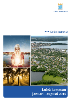 Luleå kommun Januari