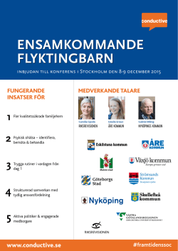 Program i PDF