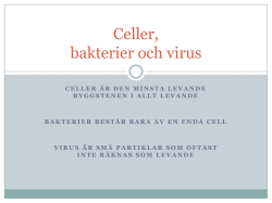 Celler, bakterier och virus