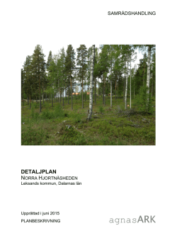 Planbeskrivning