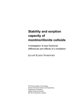 Stability and sorption capacity of montmorillonite colloids