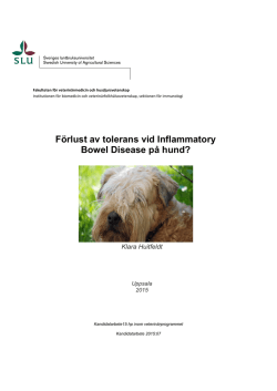 Förlust av tolerans vid Inflammatory Bowel Disease på hund?