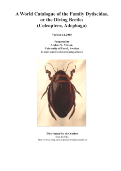 A World Catalogue of the Family Dytiscidae, or the Diving Beetles