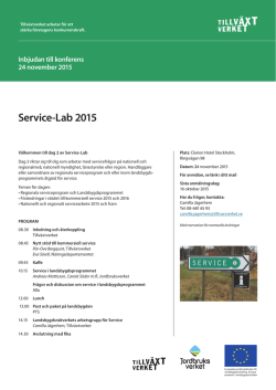 Service-Lab 2015