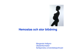 Margareta Hellgren (Ladda ned PDF)