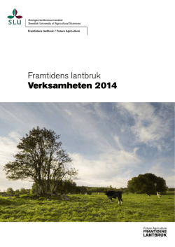 Verksamhetsberättelse 2014