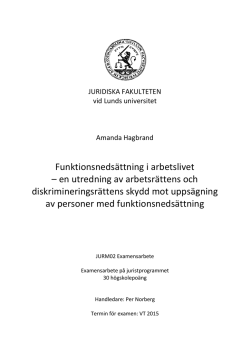 Funktionsnedsättning i arbetslivet - LUP