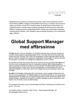 Global Support Manager med affärssinne