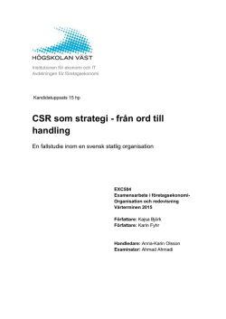 CSR som strategi - från ord till handling