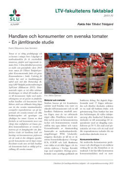 Handlare och konsumenter om svenska tomater LTV