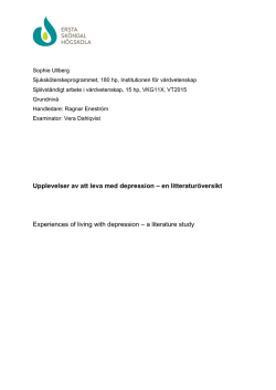 fulltext - DiVA Portal