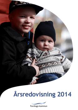 KF 2015-03-31 Bilaga ärende 10