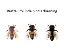Våra bin - Västra Frölunda biodlarförening