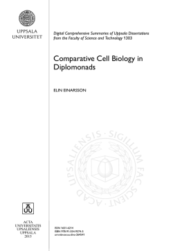 Comparative Cell Biology in Diplomonads