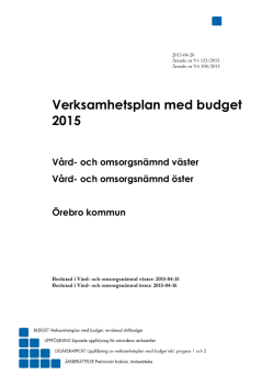 Vård och omsorg - verksamhetsplan med budget 2015