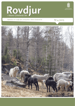 Rovdjur i Västra Götalands län nr 4 2015