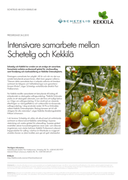 Intensivare samarbete mellan Schetelig och Kekkilä