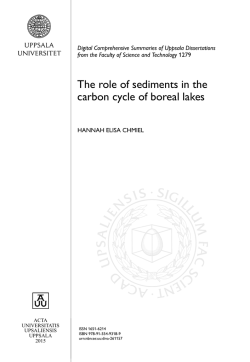 The role of sediments in the carbon cycle of boreal lakes