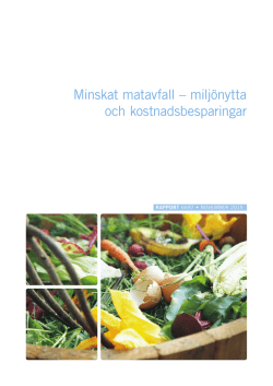 Ladda ner (pdf 2 MB)