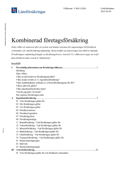 Kombinerad Företagsförsäkring (V065:12)