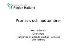 Kerstin Lundhs föreläsningsmaterial