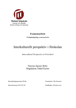 Interkulturellt perspektiv i f&ouml;rskolan