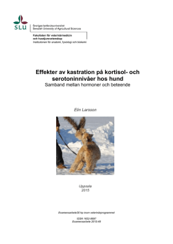 Effekter av kastration på kortisol- och serotoninnivåer hos hund