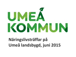 Näringslivsträffar på Umeå landsbygd, juni 2015