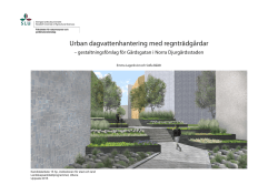 Urban dagvattenhantering med regnträdgårdar