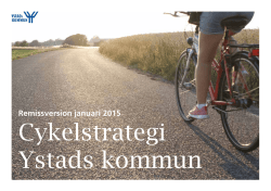 Cykelstrategi_Remisshandling jan 2015