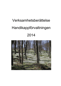 Verksamhetsberättelse 2014, pdf, 4 MB