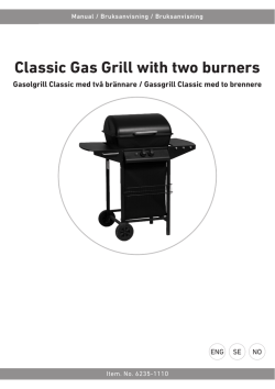 Classic Gas Grill with two burners