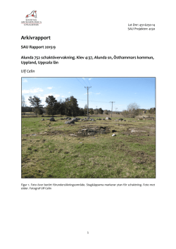 SAU rapport 2015_9