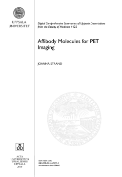 Affibody Molecules for PET Imaging