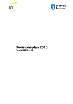 Revisionsplan 2015 - Södertälje kommun