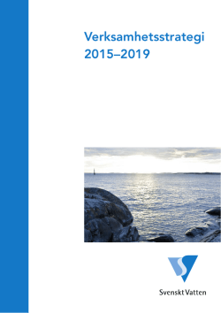 Verksamhetsstrategi 2015–2019