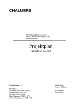 Projektplan - Surtsey.org