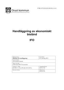 6-4-2 Riktlinjer för handläggning av ekonomiskt