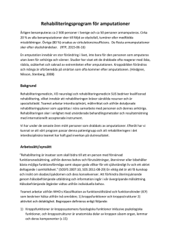 Rehabprogram för amputerade 2015 i pdf