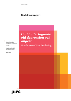 Revisionsrapport (pdf-fil, 345 Kb)
