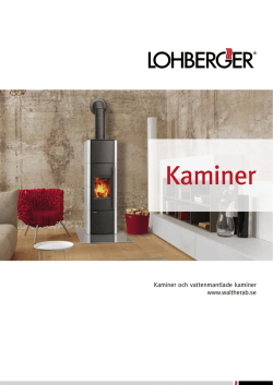 Kaminer - Lohberger Heiz