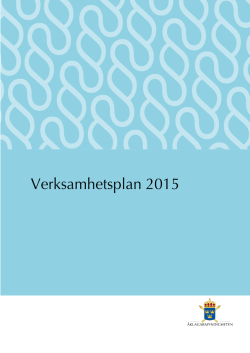 Verksamhetsplan 2015
