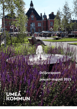 Delårsrapport januari–augusti 2015